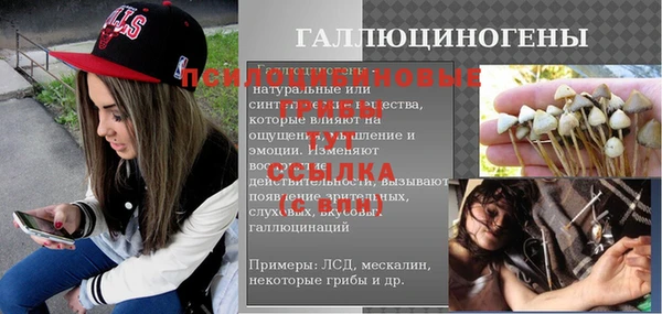 стафф Николаевск-на-Амуре